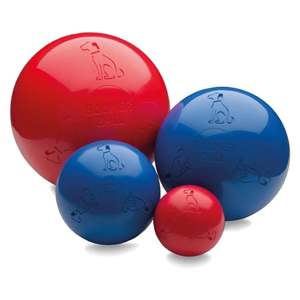 Dog Toys: Company of Animals Boomer Ball Dog Toy
