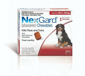 Dog Flea Treatment: Nexgard Chewable Tablet Flea & Tick Treatment For Dogs