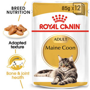 Cat Wet Food: Royal Canin Maine Coon Adult Wet Cat Food