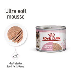 Royal Canin Mother and Baby Mousse