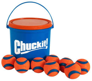 Chuckit Dog Toys: Chuckit! Ultra Ball & Bucket Dog Toy