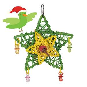 Bird: Kazoo Christmas Bird Star Bird Toy