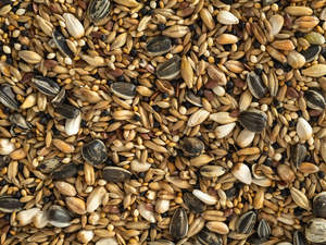 Bird Seed: Topflite Aviary Seed Mix