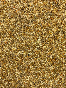 Bird Seed: Topflite Millet Mix Bird Seed