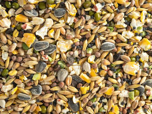 Bird Seed: Topflite Soak & Sprout Seed