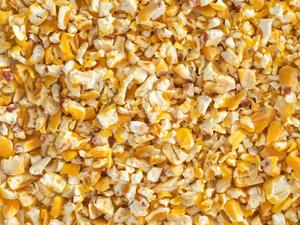 Bird Seed: Topflite Kibbled Maze