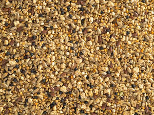 Bird Seed: Topflite Quail Seed Mix