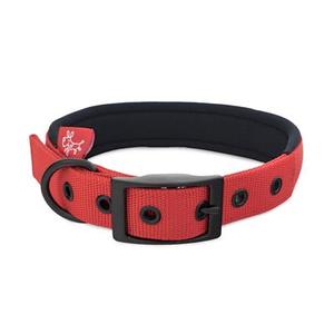 Dog Collars Leads: Yours Droolly Collar Foam