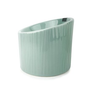 Barkley Bella Dog Bowl: Barkley & Bella Raised Bowl Eucalyptus