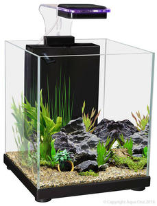 Aqua One Betta Sanctuary Glass Tank 10L Black
