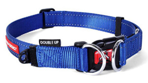 EzyDog Double Up Collar Blue