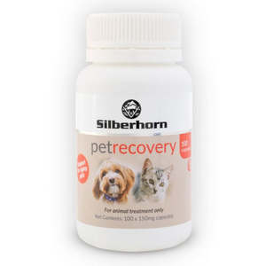 Silberhorn Pet Recovery Nutritional Supplement