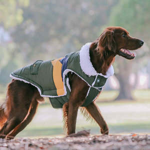 Huskimo Lighting Bolt Olive Dog Coat