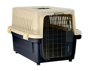 Allpet Plastic Carrier 50X34X32cm