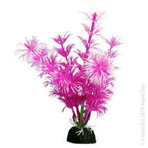 Aqua One Bettascape Betta Ambulia Pink
