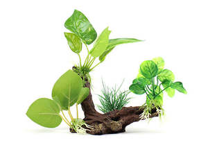 Aqua Care Ornament Wood & Plant