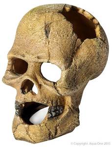 Aqua One Ornament Human Skull With Hole