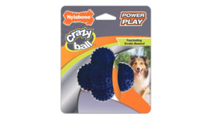 Nylabone Dog Toys: Nylabone Power Play Crazy Ball Dog Toy