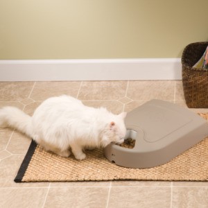 Petsafe Drinkwell Fountain: Petsafe Eatwell 5 Meal Pet Feeder