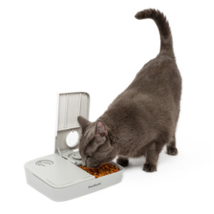 Petsafe Drinkwell Fountain: Petsafe Automatic 2 Meal Pet Feeder