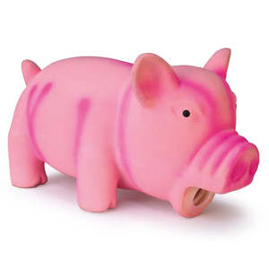 Dog Toys: Grunting Latex Pig Dog Toy