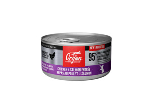 Cat Wet Food: Orijen Chicken and Salmon Entree Wet Kitten Food