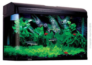 Best Selling: Aqua One AquaStyle AR850 Aquarium
