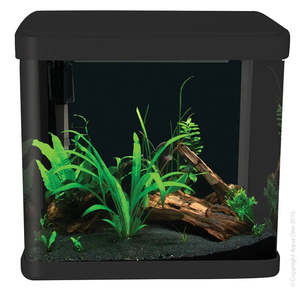 Best Selling: Aqua One LifeStyle 21 Complete Glass Aquarium