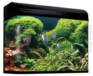 Best Selling: Aqua One AquaStyle AR980T Tall Aquarium