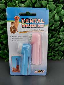 Health: ORAL HYGIENE KIT