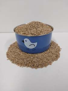 Plain Canary Seed