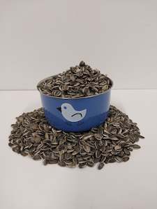 Best Selling: Sunflower