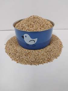 Bird: WHITE FRENCH MILLET