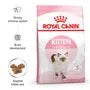 RC KITTEN 400GM