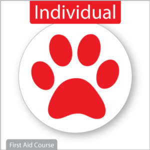 Individual Course Booking