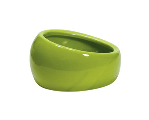Living World Ergonomic Dish Green