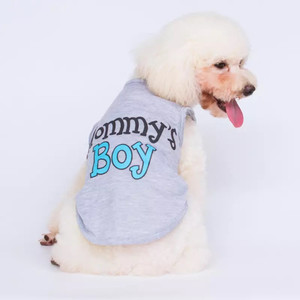 Mummy’s Boy Pet Haven