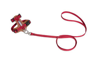 For Cats: Leather Cat Harness & Leash Set