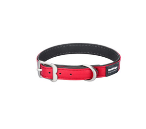 Accessories: Red Dingo Dog Buckle Collar Vegan Leather