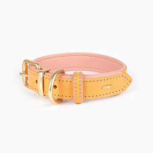 Collars Leads: Ezydog Oxford Blush Buckle Collar