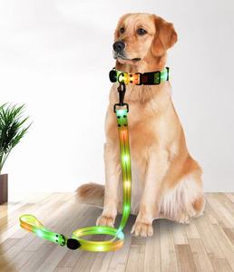 Collars Leads: LED Collar