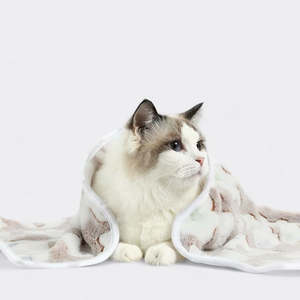 Accessories 1: Pet Plush Blanket