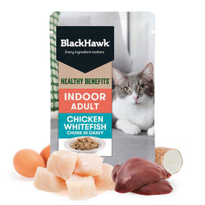 Black Hawk Cat Indoor Chick & Fish in Gravy 85g