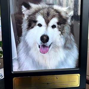Special Offer: Custom Wooden Pet Ashes Box With Photo Frame