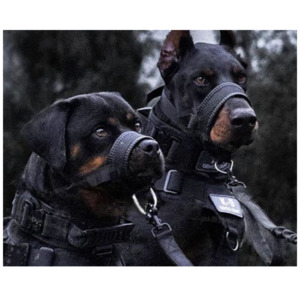Tactical Dog Muzzle – Adjustable Muzzle for Medium Large Dogs Pet Pop