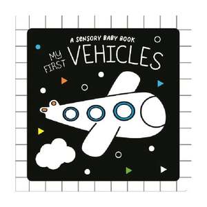 My First Vehicles Sensory Book