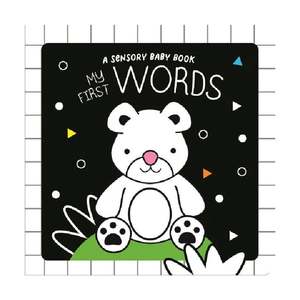 Book Books: My First Words Sensory Board Book