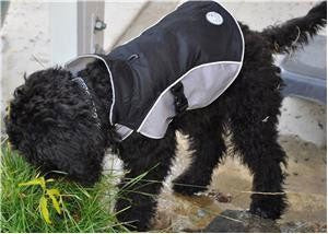 Dog Raincoat