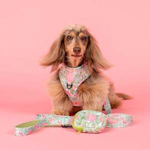 Walk: Flora and Fern: Dog Leash- 1.5cm