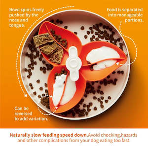 Dog Bowls And Accessories: PetDreamHouse SPIN Interactive Feeder Bougainvillea